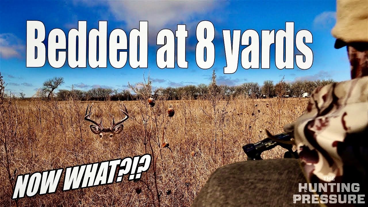 Выстраивание БАКСОВ в колею! ОДНА И ТА ЖЕ КРОВАТЬ КАЖДЫЙ ДЕНЬ!?