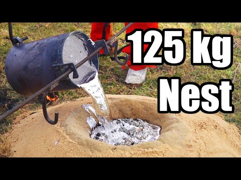 EXPLOSIONS while casting 250 kg of ant nests! Triple bull ant nest casting (80, 125 and 45 kg) Day 1