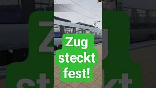 TÜRSTÖRUNGEN gab es schon in Train Sim World 2 #railway #train #simulator
