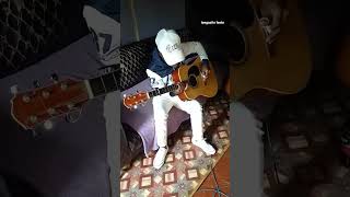 Sms Wodumo benginegugu