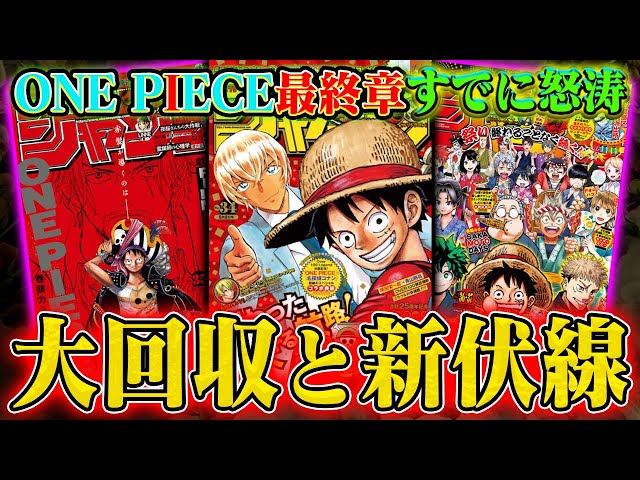 世界に1点【エラー品】 ワンピース 総集編 One Piece Final Chapter] 