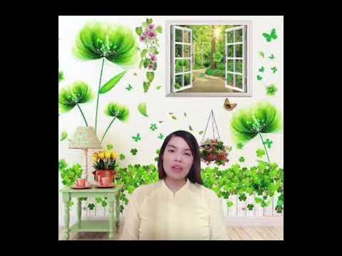 KHÁM PHÁ: Trường mầm non