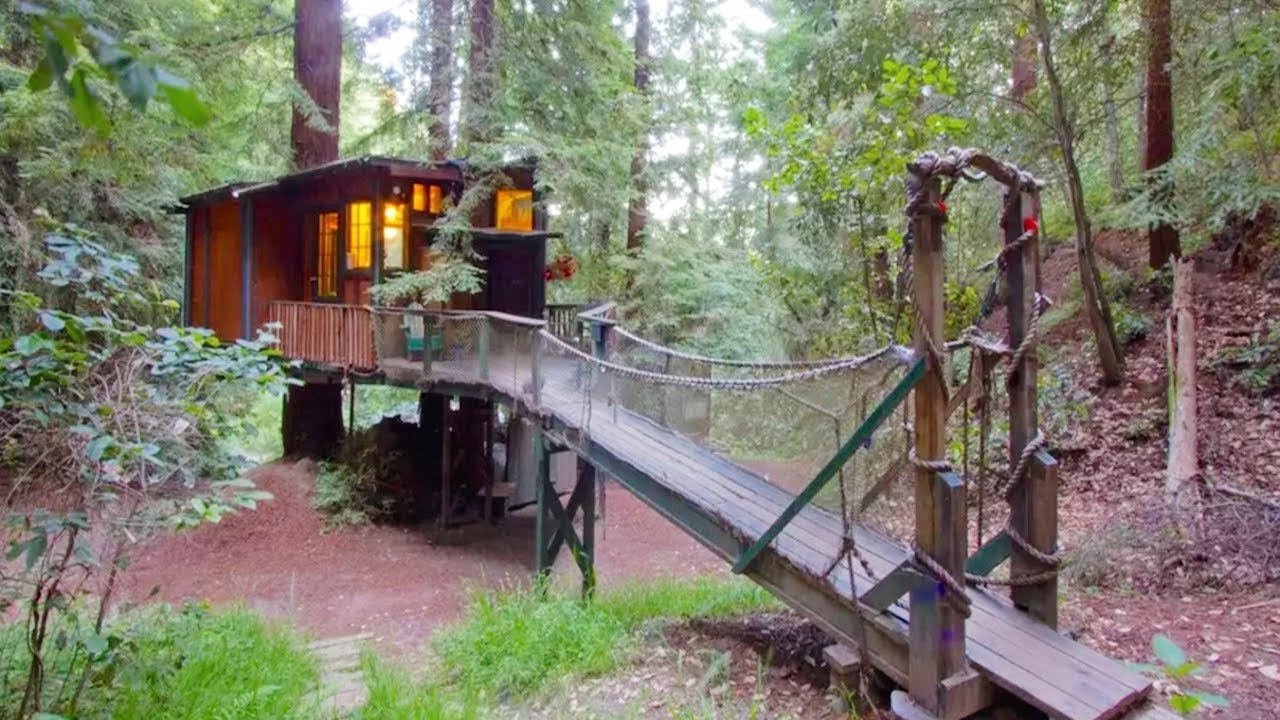 creepypasta anime This Tiny Cabin In The Redwoods Is The Perfect Getaway For Peace And Quiet