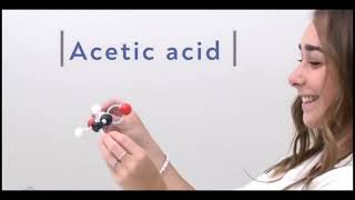 Chemistry Molecular Model Kit (444 Pieces), Student or Teacher Set for Organic