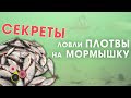 СЕКРЕТЫ ловли плотвы зимой на мормышку со льда