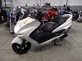 B6314 YAMAHA MAJESTY 250 C