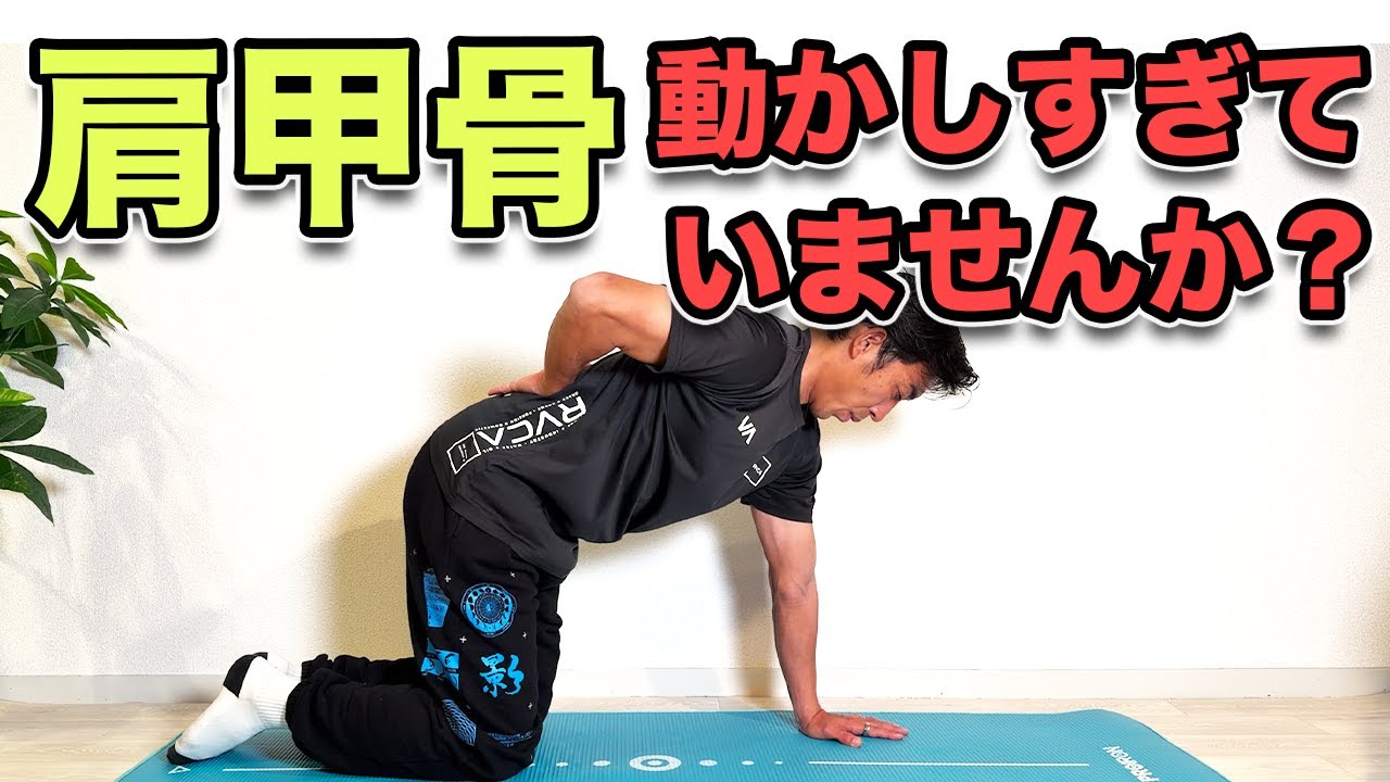 肩甲骨、定位置へ】実はストレッチだけじゃなく、元の位置に戻すことも