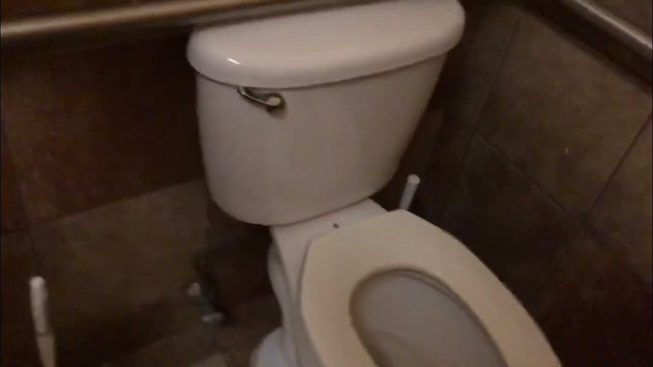 [BT] PetSmart Restroom Full Shoot with Slim Tank 2004 Ferguson Altimas