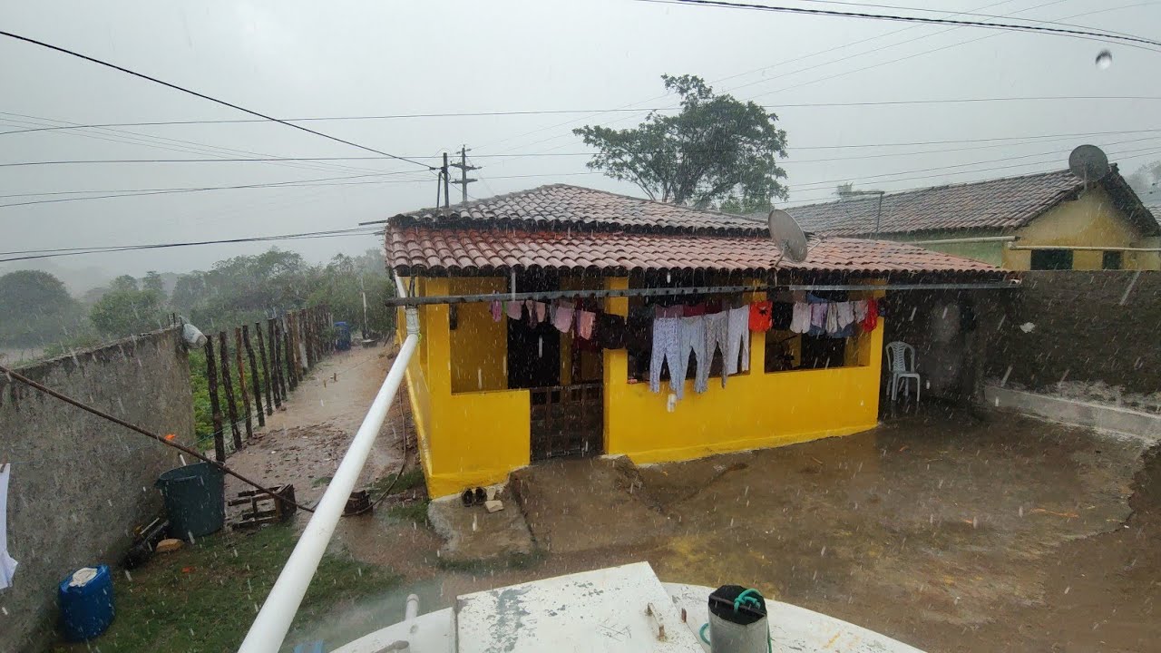 uma forte tempestade de chuva e vento a força da natureza 🍄‍🟫 🌧️ 21/02/2026