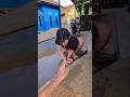 Abang jangan dipepet nanti banjir #trendingshorts