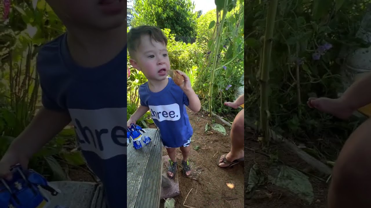 BEST BREAD IN SONOMA COUNTY | Wild Flour Bread | Trip to the Beach | Living in Vacaville