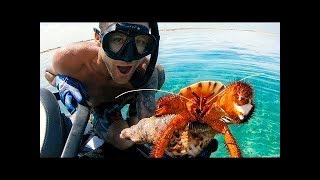 Ybs Lifestyle Ep 31 - Most Amazing Crab Ever How To Make Fish Curry Catch And Cook