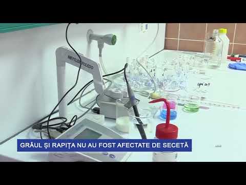 Grâul și rapița nu au fost afectate de secetă