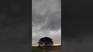 Thunderstorm ️ #thunderstorm #storm #clouds #nature #naturelovers #photography #sky #naturephoto