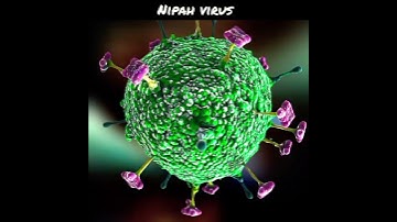 #shorts nipah virus #successeducationhub