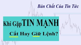 Gặp TIN MẠNH, Nên CẮT Hay GIỮ Lệnh?