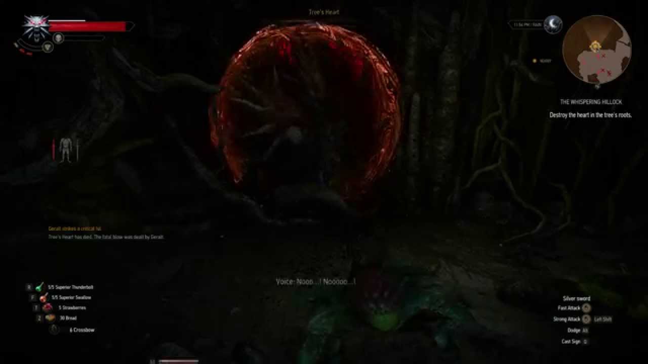The Witcher 3 - Killing the Thing in the Willow