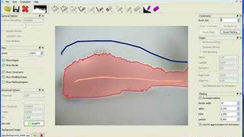 Realtime Interactive Segmentation (Cat)