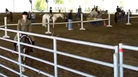 Rudy in Hunter Under Saddle