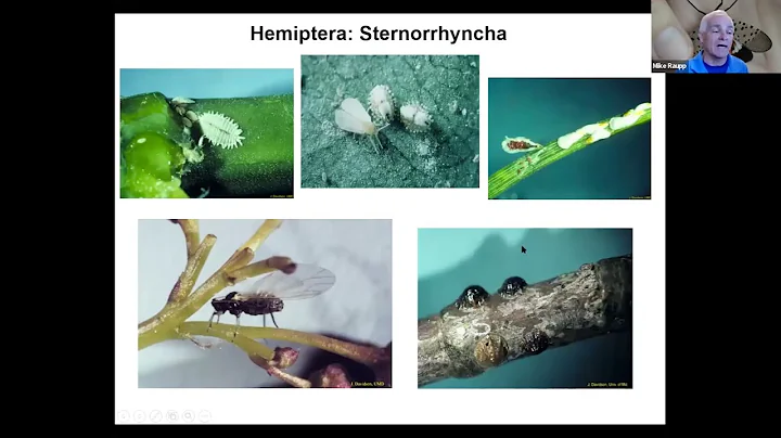 Update on Biology and Management of Scale Insects in the Mid-Atlantic Region