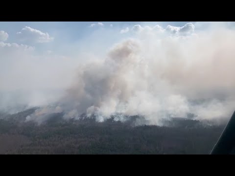 Арсен Аваков: Розглядається дві версії виникнення пожеж в Житомирській області