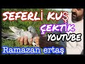 Seferli Kuş Çektik. Youtube ''Ramazan ertaş'' İstanbul Performans Oyun Kuşları