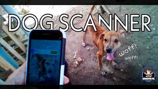 DOG SCANNER GOES WRONG!