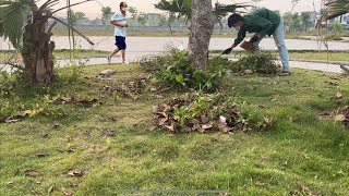 I volunteered to clean up overgrown grass in the children's park-spreading the inspiration