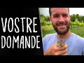 MATT ho una DOMANDA per TE