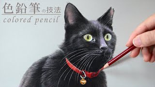 イラスト 色鉛筆でリアルな黒猫を描く アクリル絵具 イラストメイキング Youtube