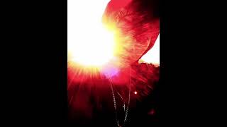 DOMINUS iMPULSE - AVEELIWAV