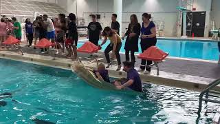 Cardboard Boat Regatta 2022 - Superintendent Niedzwiecki