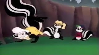 Skunk Fart (Secret Adventures)