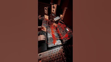 Daily #techno dose #analogsynth #berlintechno #eurorack #modularsynth