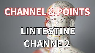 THE LARGE INTESTINE CHANNEL OF HAND YANGMING/手阳明大肠经 /Acupuncture Points/穴位名称