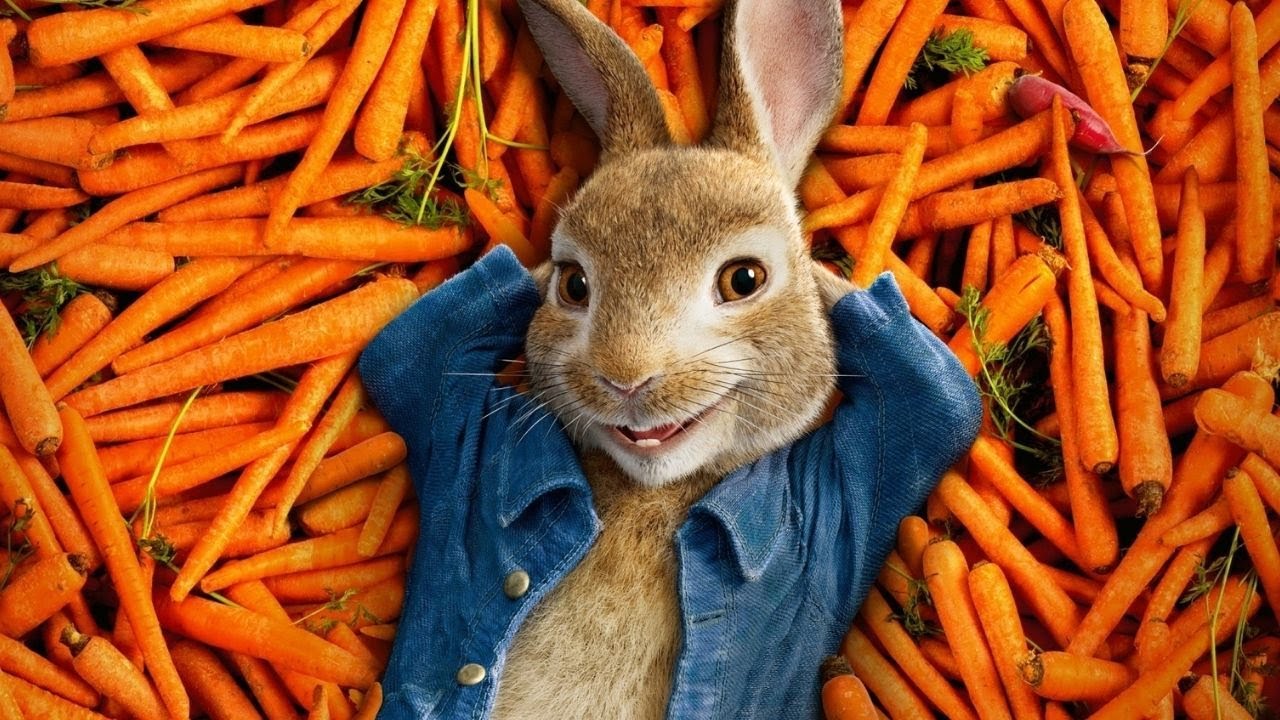 Steal My Sunshine (Peter Rabbit 2018 Film Version) – Len