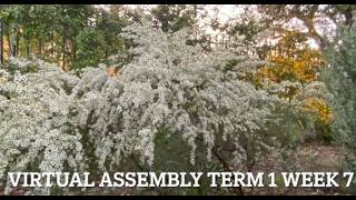 Virtual assembly Term 1 Week 7