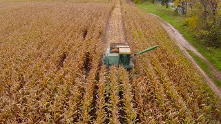 Combining Corn 2021