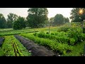 Regenerative Agriculture on a Small Scale | What it Looks Like