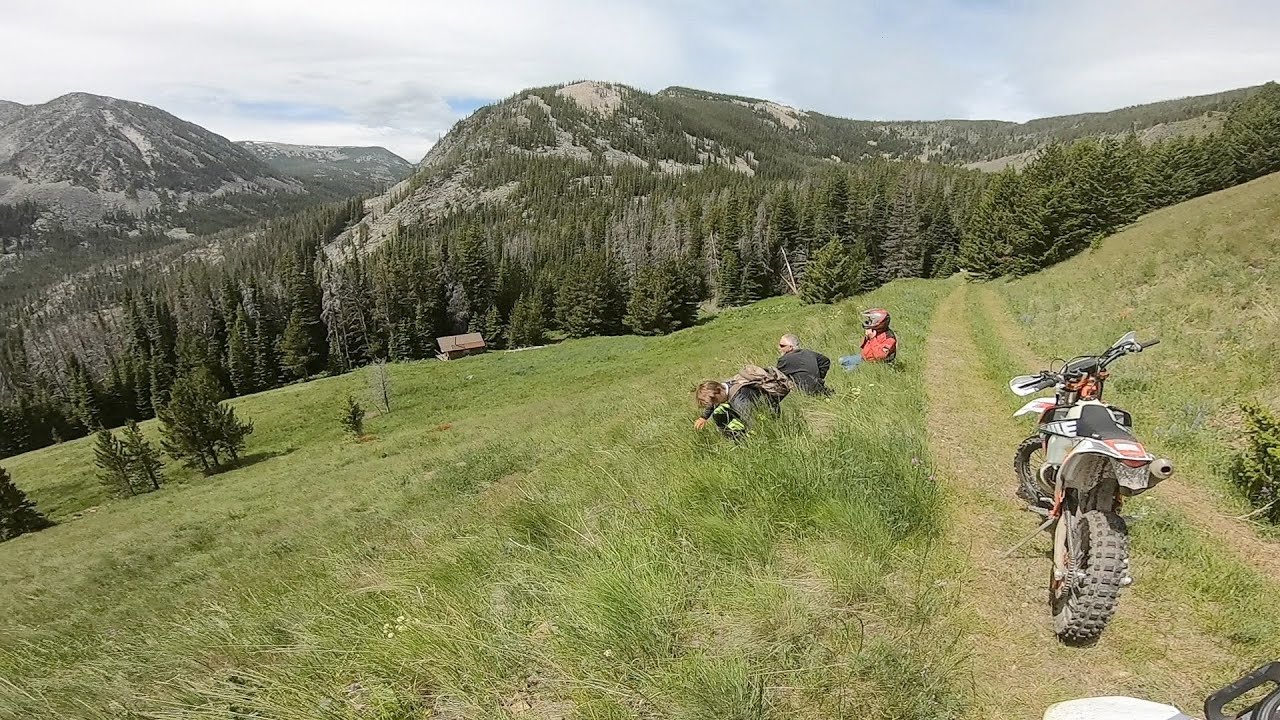 Dirt Biking Gold Creek Area. Flint Creek Mountains, MT 7/12/2020 YouTube