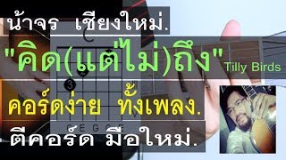 สอนกีต้าร์ คิด(แต่ไม่)ถึง คอร์ดง่าย มากๆ ตีคอร์ด มือใหม่ - น้าจร เชียงใหม่ (Tilly Birds) Cover