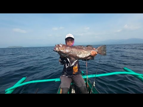 Swerte ngayon 4kg grouper #fishing #jigging