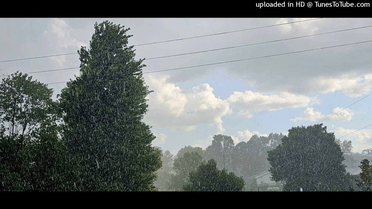 Lemzly Dale - More Life