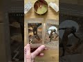 #Shorts New Moon in Capricorn Solstice Tarot