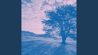 Sprightly Music for Calm Spirits