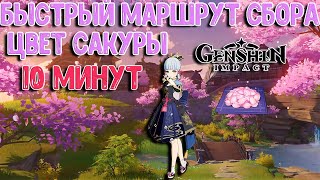 Цвет Сакуры маршрут | 10 минут | Genshin Impact