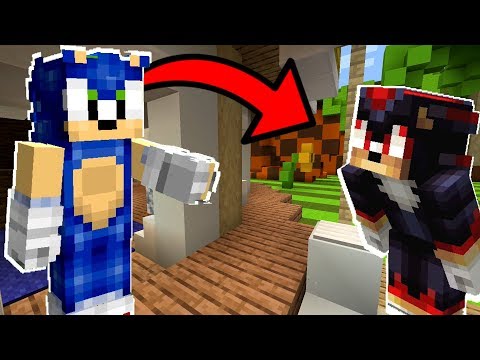 Minecraft Sonic The Hedgehog - Sonic And Shadow's Big Problem...