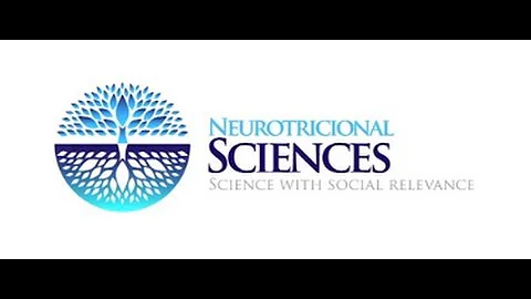 What is NeuroPhysics (Functional Performance)? An ...