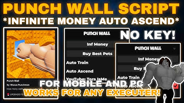 🥊Punch Wall Script Pastebin **NO KEY** INFINITE MONEY | BUY OP PETS | AUTO ASCEND VERY OP🧱