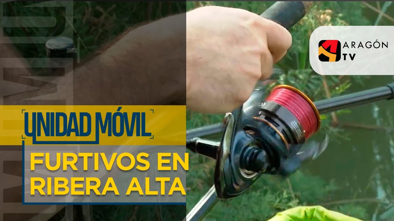 Furtivos en la Ribera Alta del Ebro | PESCA ILEGAL